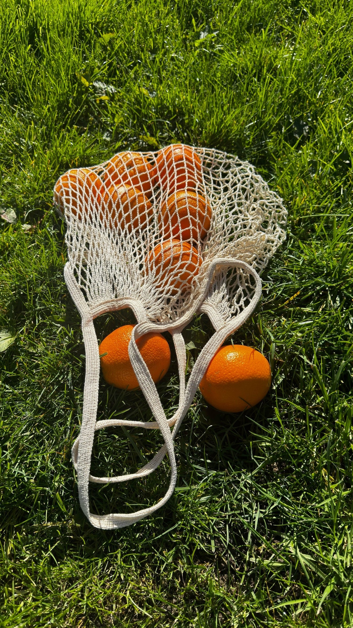 Cotton net bag of oranges on green grass in bright sunlight, two oranges beside the bag.