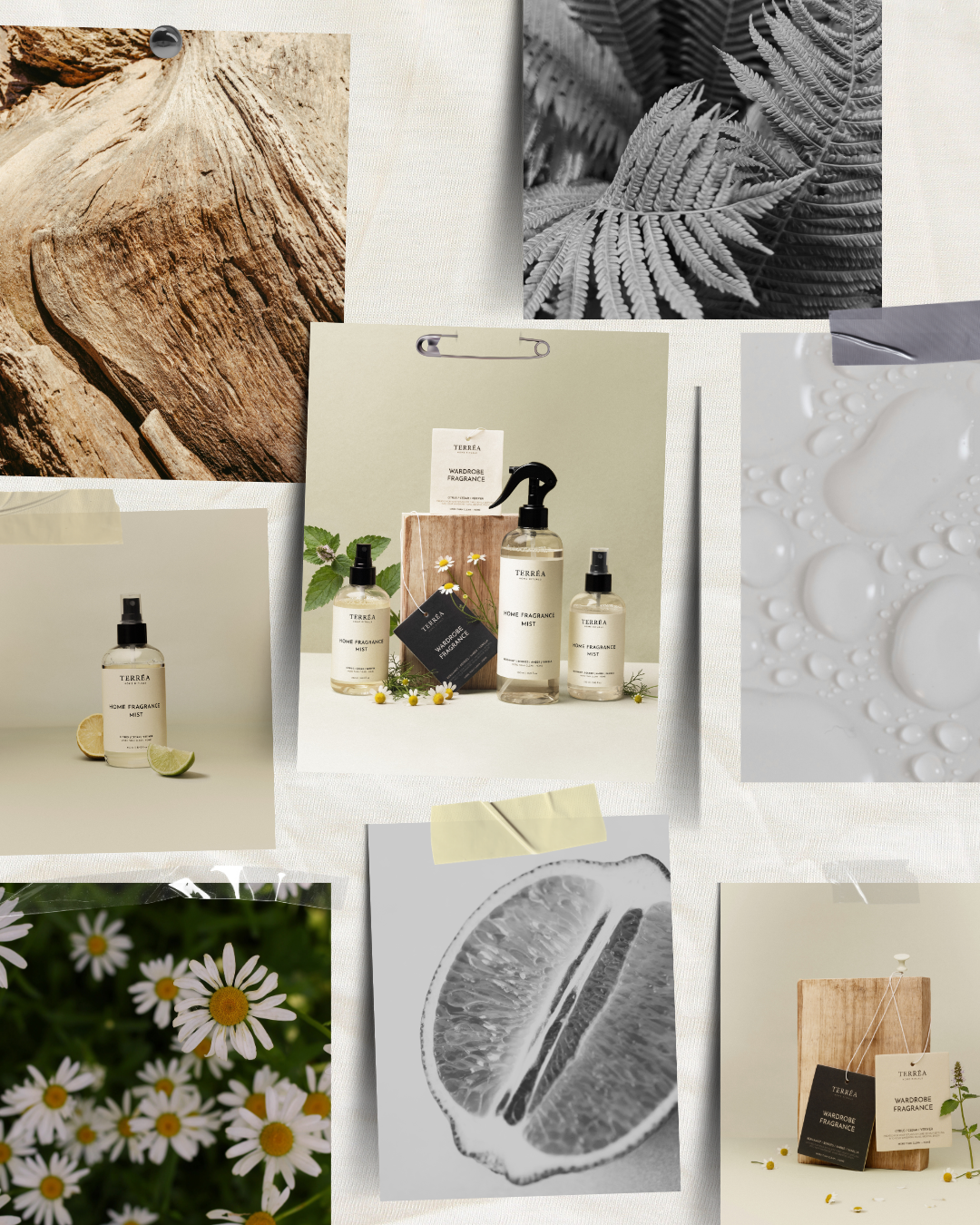 Eco-friendly home fragrance mists with natural botanicals, citrus, and wood textures for sustainable luxury home rituals