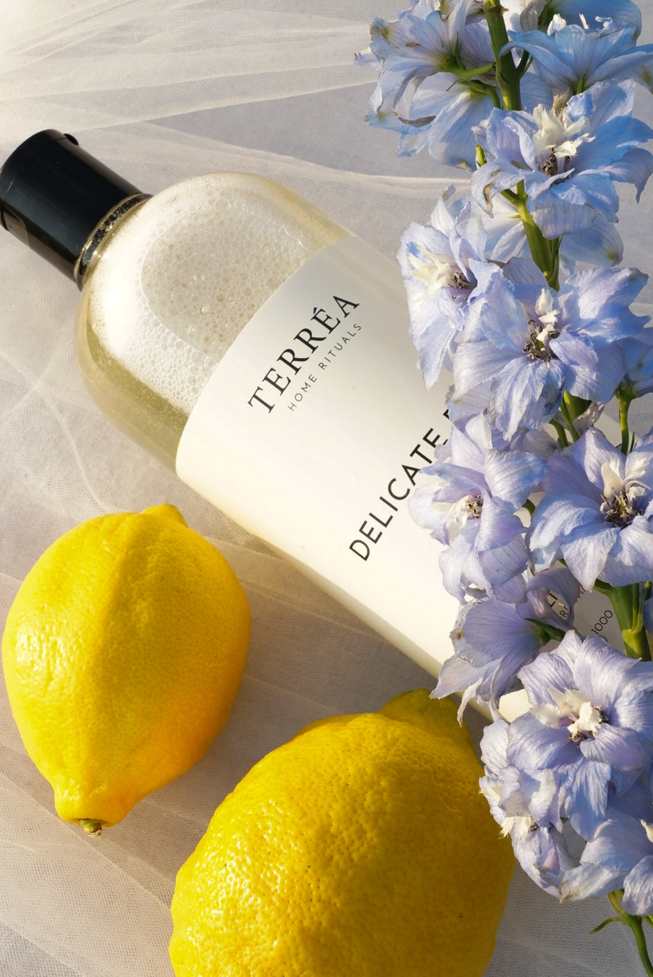 Natural Hand and Body Care Routine for Skin