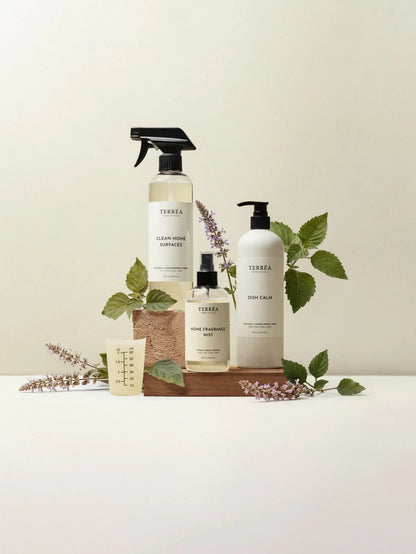 Eco-friendly home cleaning products: surface spray, dish soap, fragrance mist with natural herbs