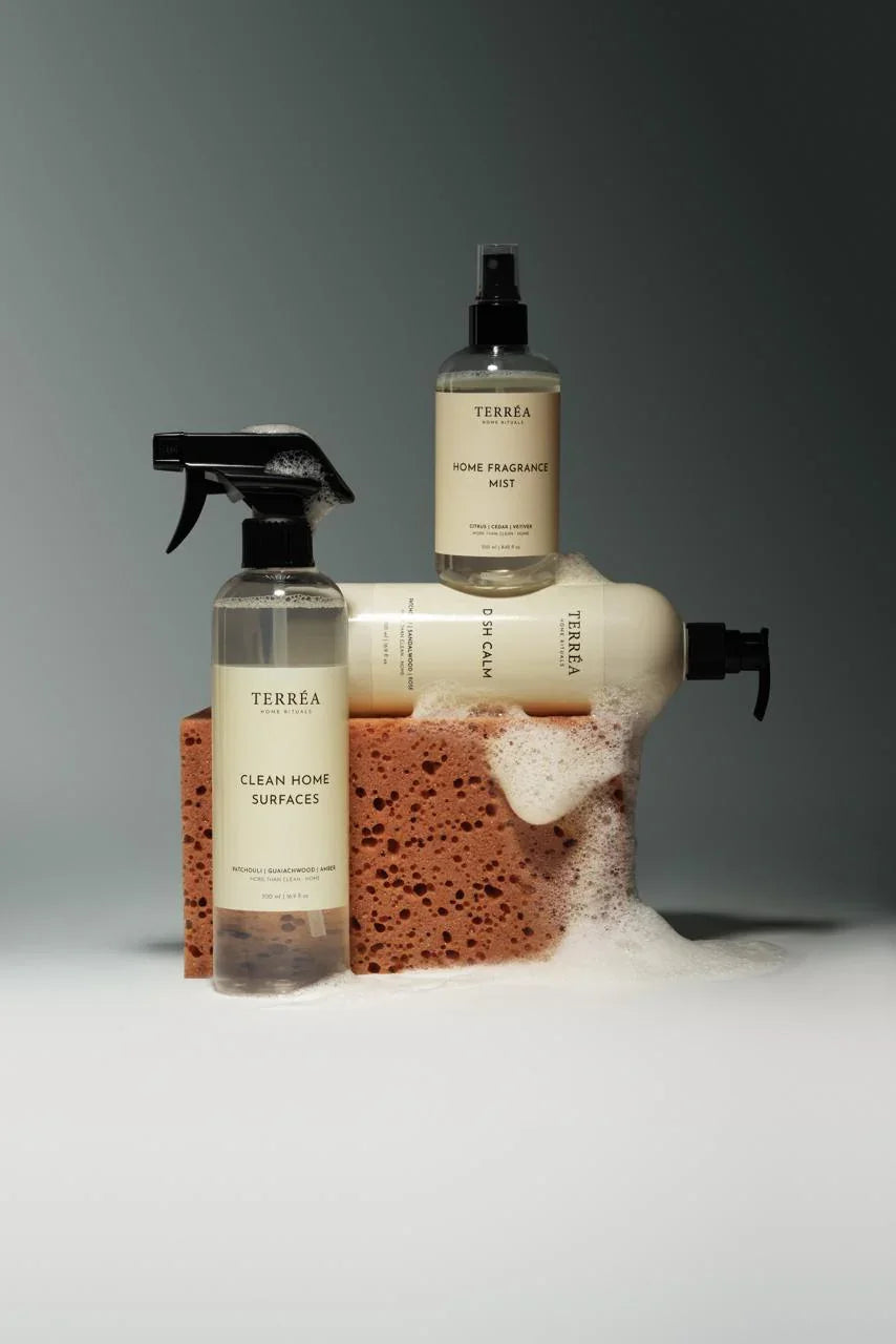 Set of Terrea cleaning products including a spray bottle, bottle with pump, and sponges on a gray background.
