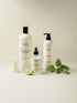 Eco-friendly home cleaning & fragrance products with lime and mint, sustainable luxury for home rituals
