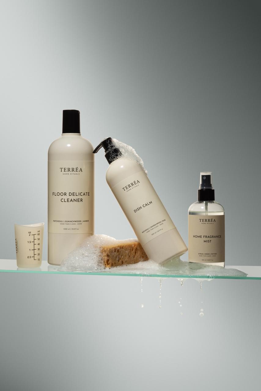 Set of Terrea cleaning products on a gray background