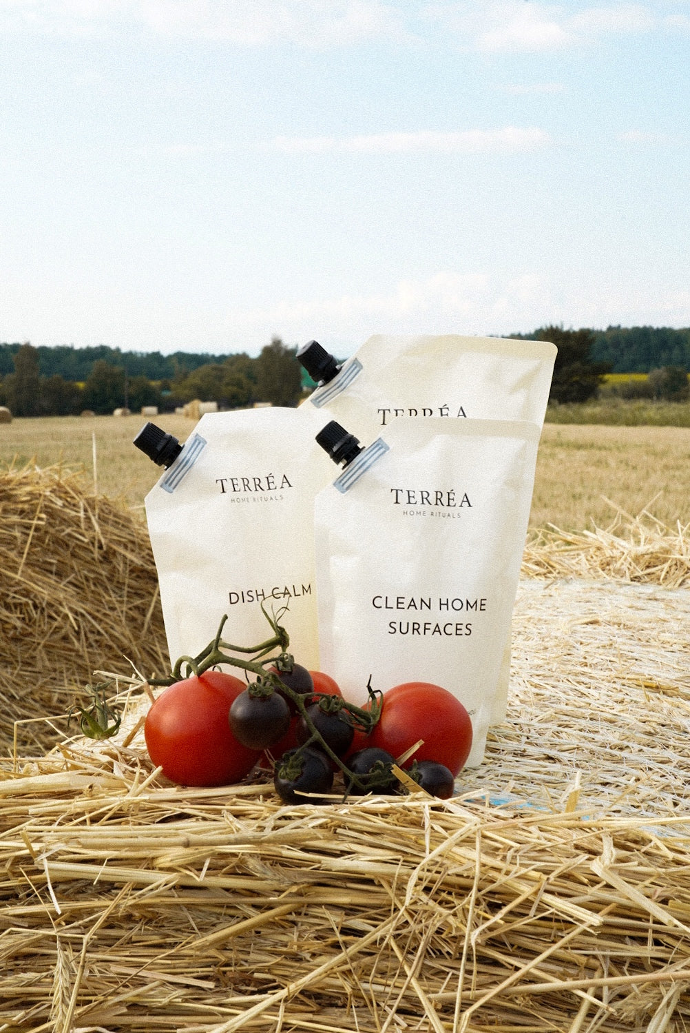 Terréa refill pouches for Dish Calm and Clean Home Surfaces styled on golden hay with ripe tomatoes and dark berries in an open harvest field.
