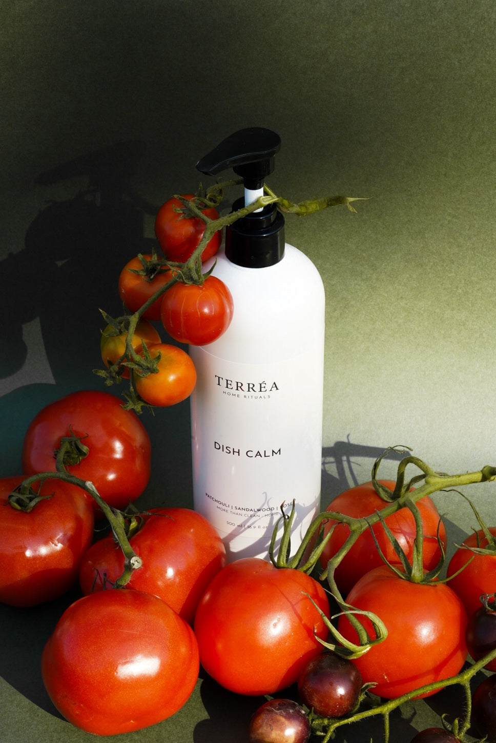 Terréa Dish Calm styled among ripe tomatoes and dark berries against an olive-green backdrop, with warm sunlight, glossy highlights and deep botanical shadows.