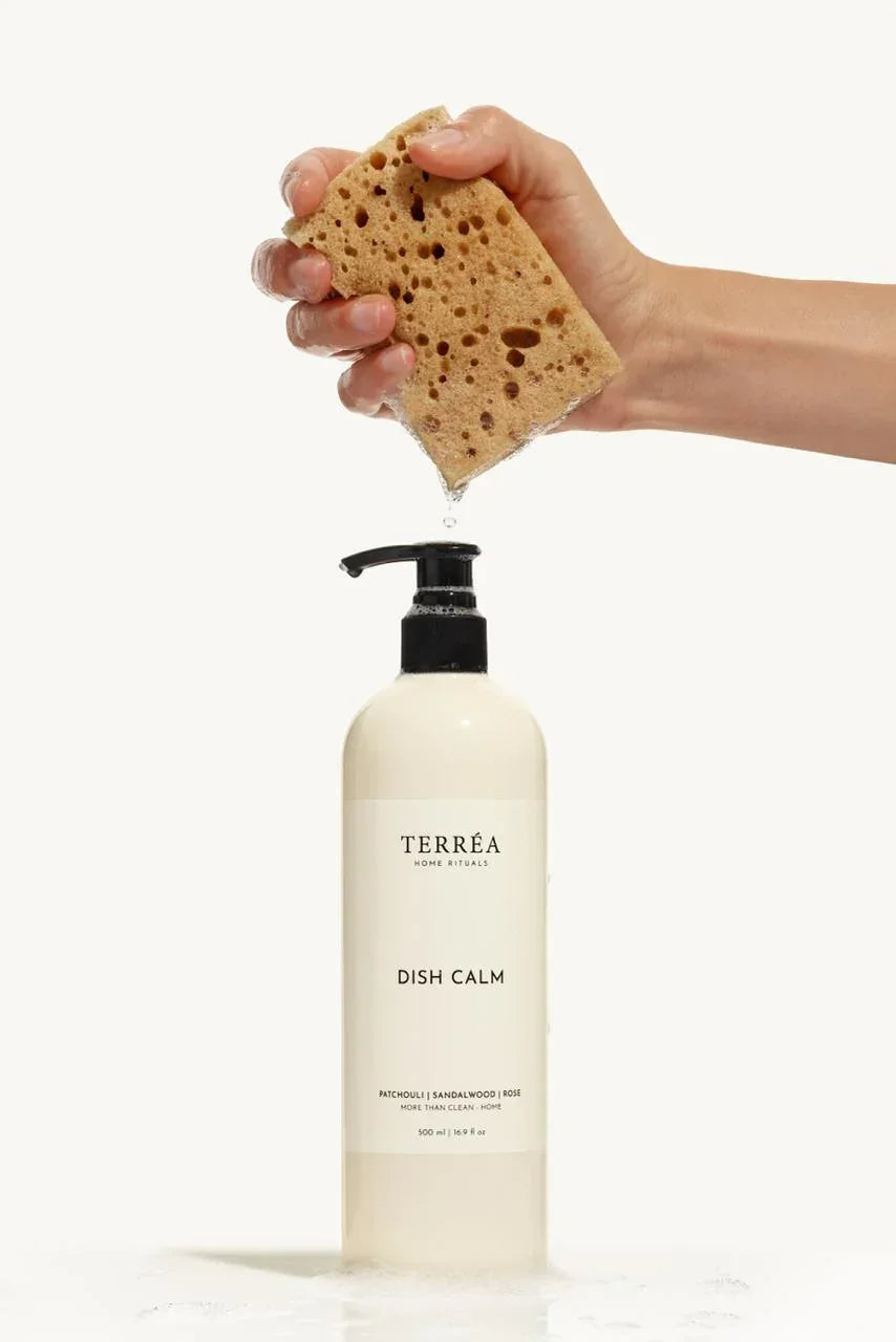 Hand holding a sponge above a bottle of Terrea Dish Calm on a white background